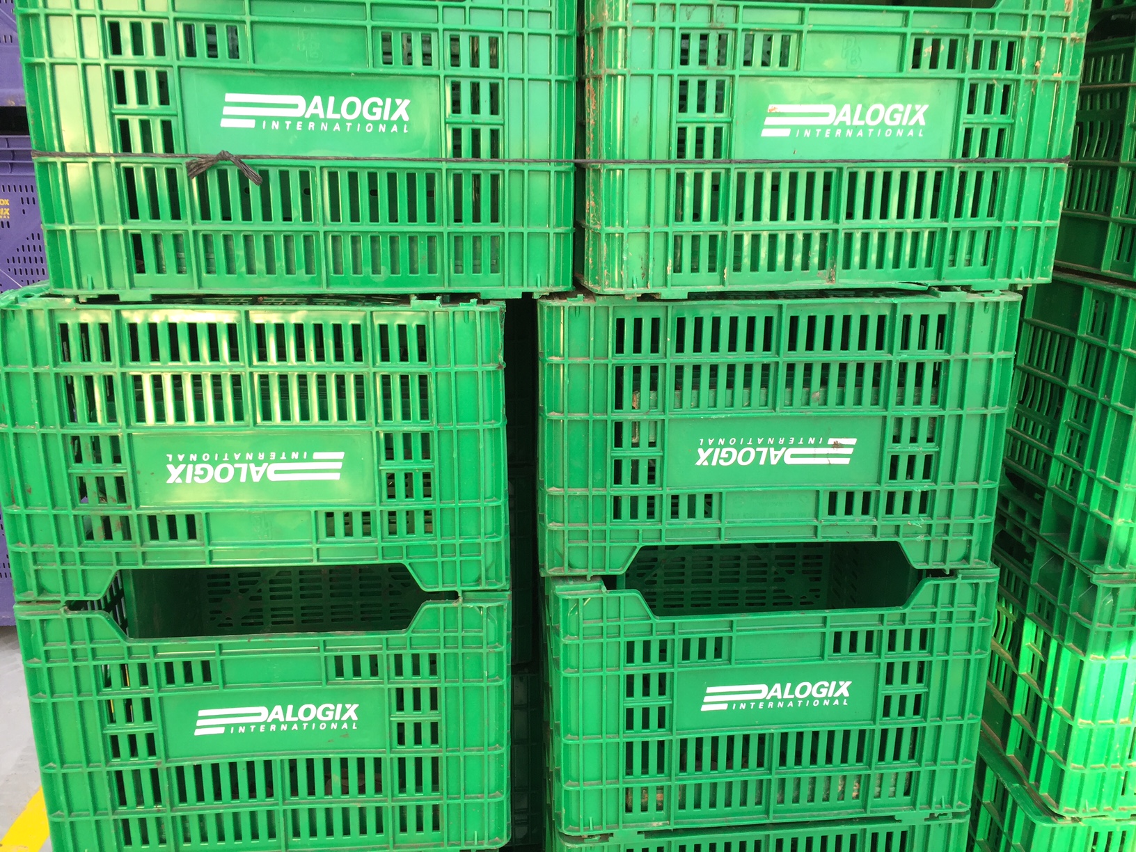 Alquiler de cajas de plástico rígidas para frutas